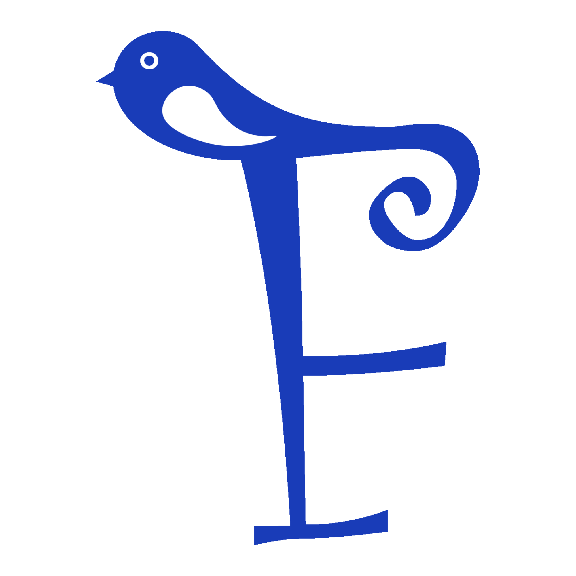 FlashNest logo